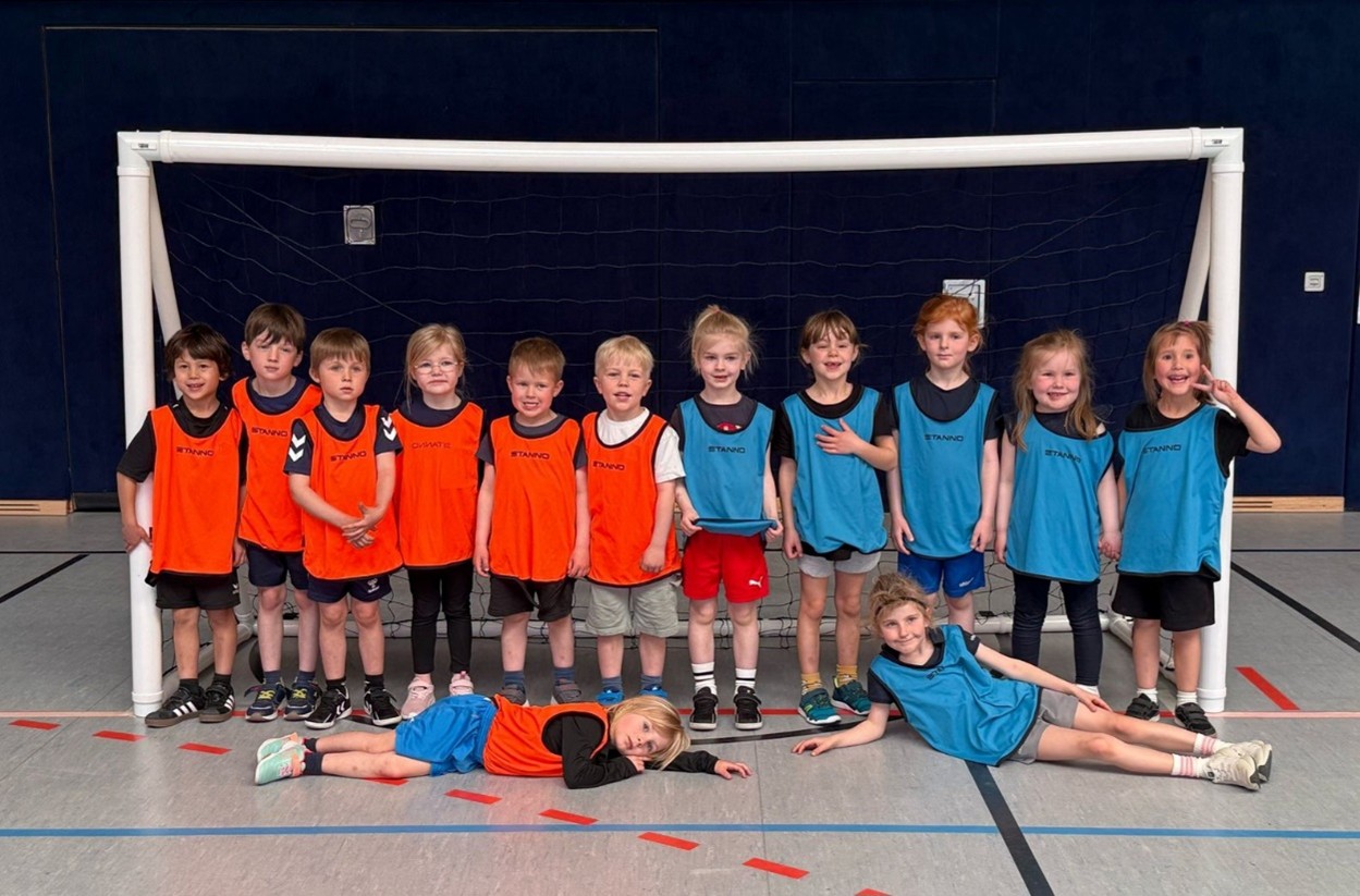 Handball Bild2