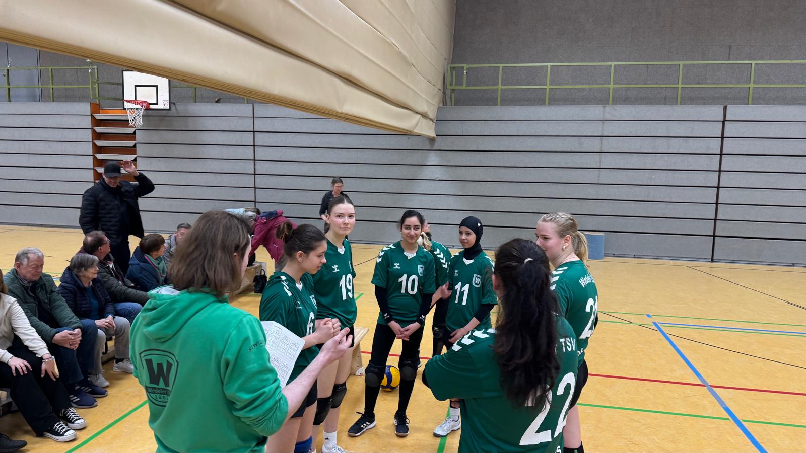 Volleyball Bild1