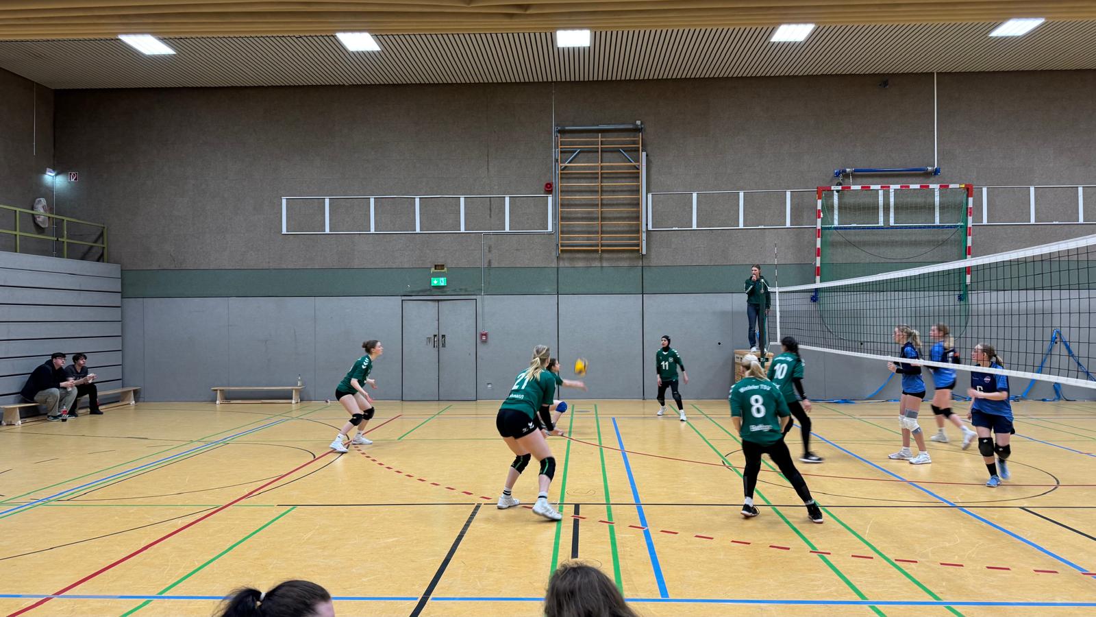 Volleyball Bild2
