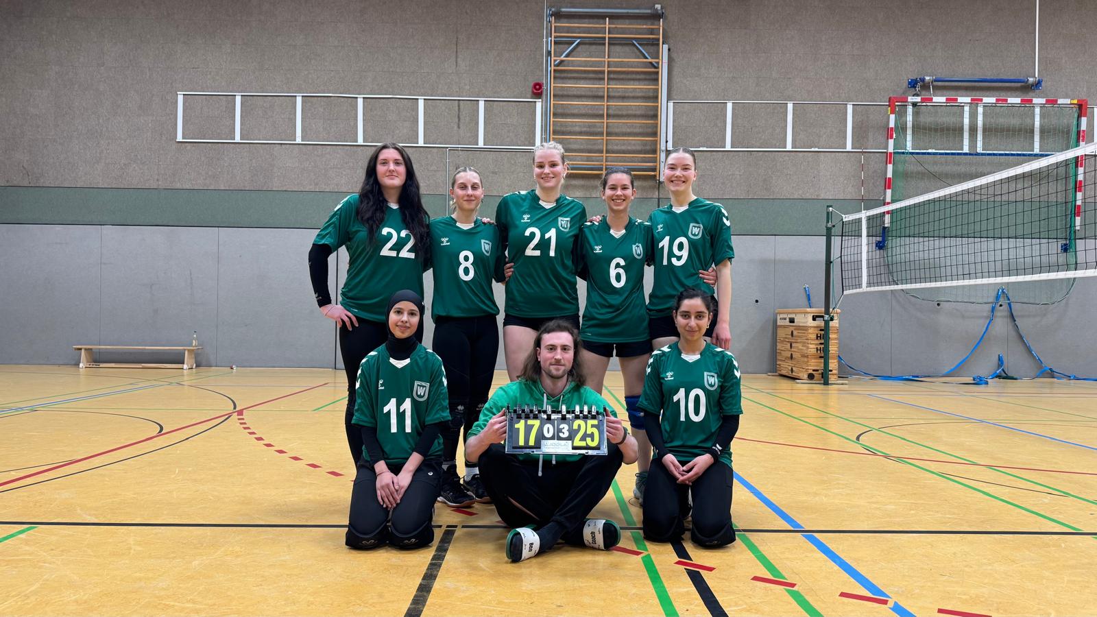 Volleyball Bild3