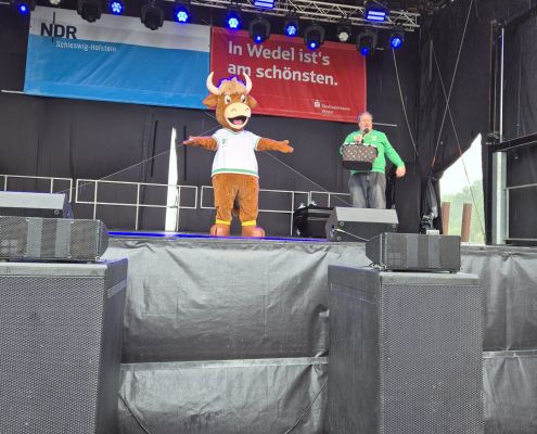 Hafenfest_Bühne-Willi_2026 (3)