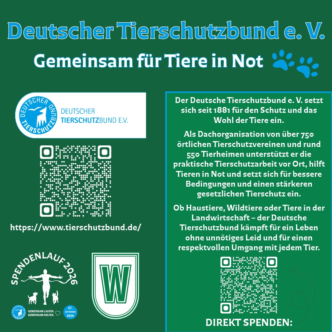 Spendenlauf_DeutscherTierschutzbund_09.2026 (Instapost)